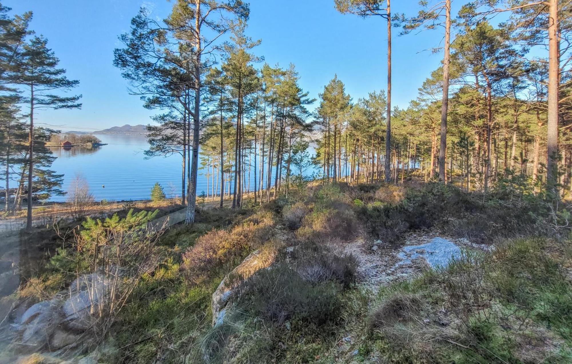 Gorgeous Home In Jorpeland With House Sea View Kültér fotó