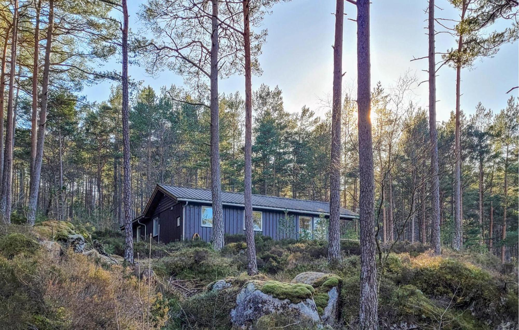 Gorgeous Home In Jorpeland With House Sea View Kültér fotó